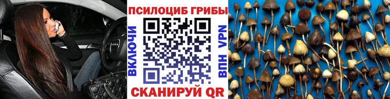 гидра как зайти  Ивдель  Галлюциногенные грибы прущие грибы 